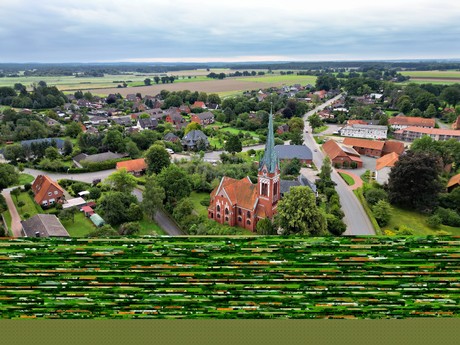 Wieren