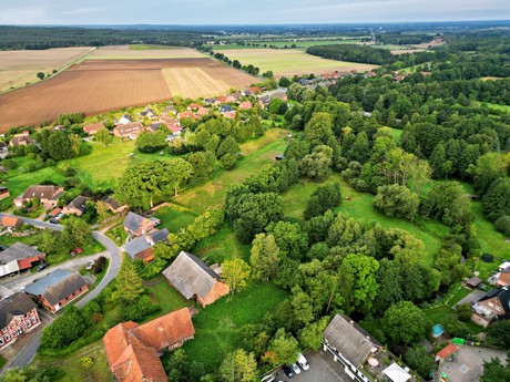 Wieren