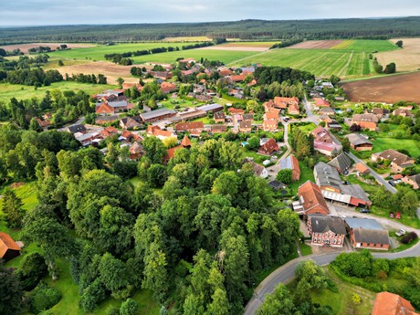 Wieren