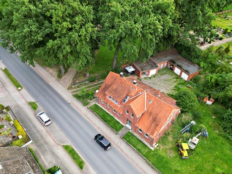 Wieren