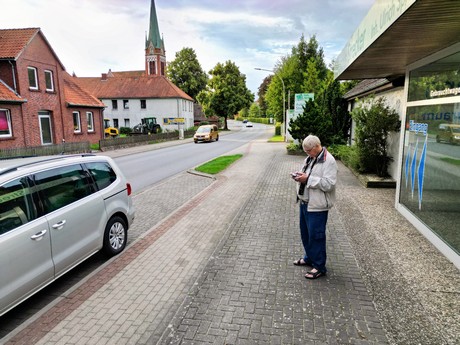 Wieren