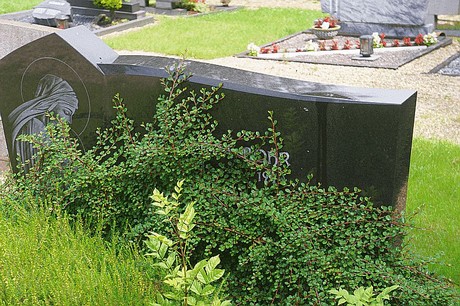 Winden