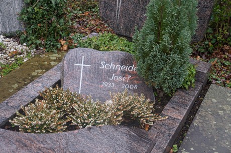 Witterschlick