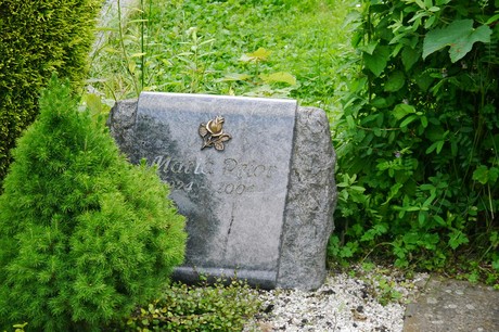 Witterschlick