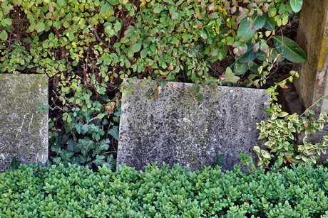 Wormersdorf