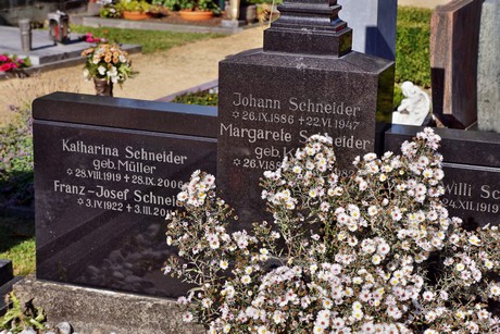 Wormersdorf