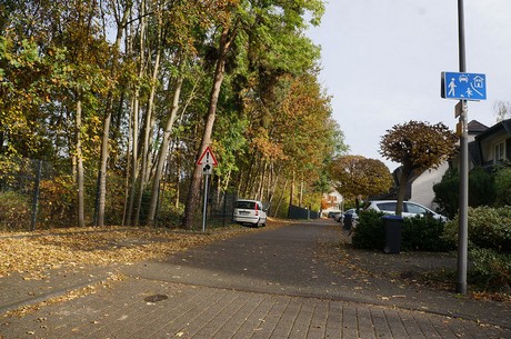 Wahnheide