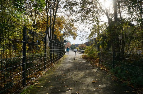 Wahnheide