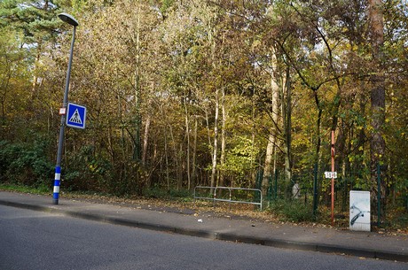 Wahnheide