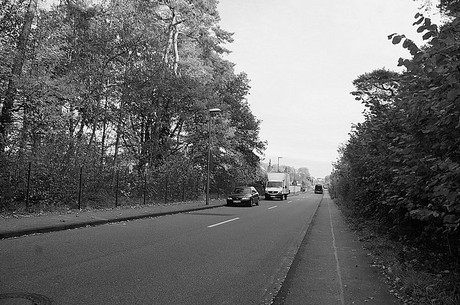 Wahnheide