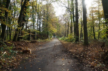 Wahnheide