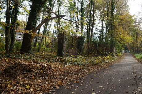Wahnheide