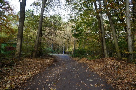 Wahnheide