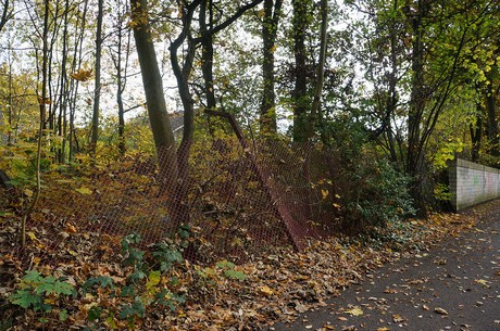 Wahnheide