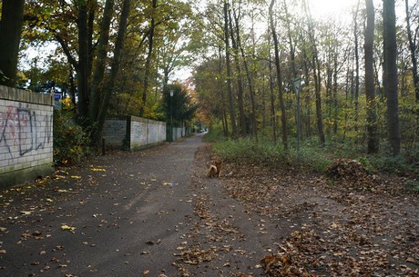 Wahnheide