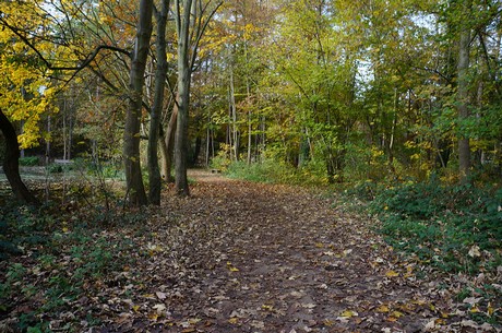 Wahnheide
