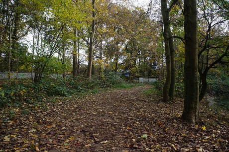 Wahnheide