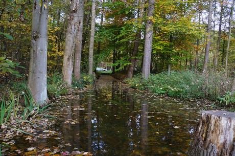 Wahnheide