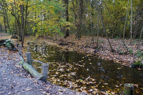 Wahnheide