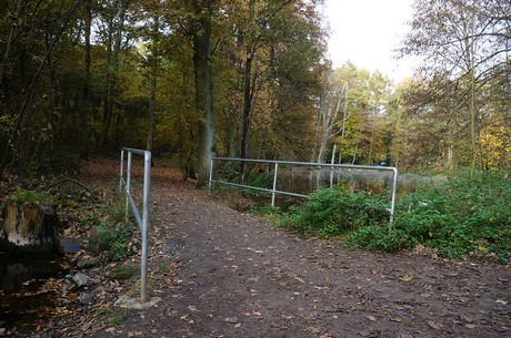 Wahnheide