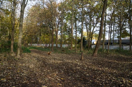 Wahnheide