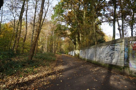 Wahnheide