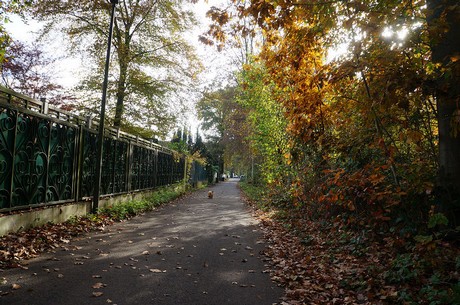 Wahnheide