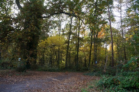 Wahnheide