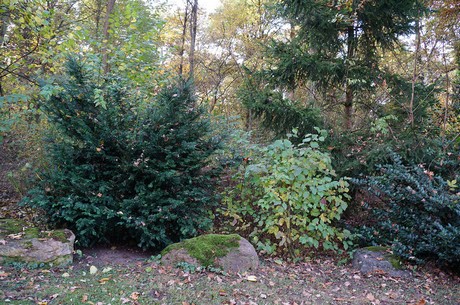 Wahnheide