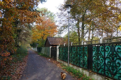 Wahnheide