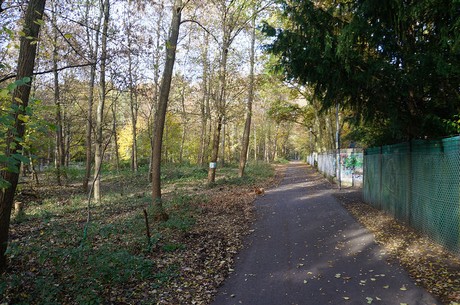 Wahnheide