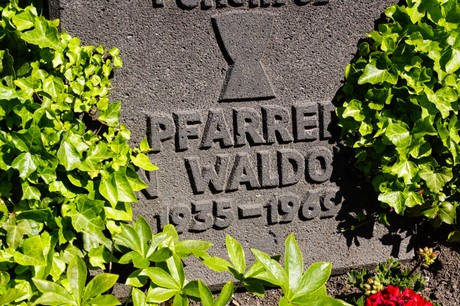 waldorf