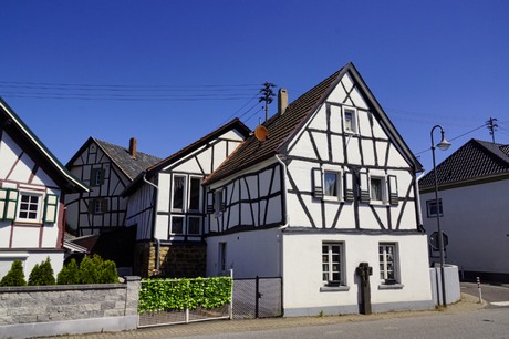 waldorf