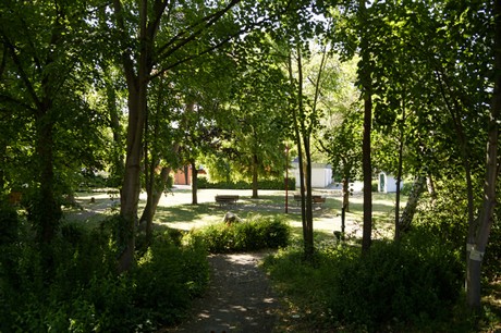 waldorf