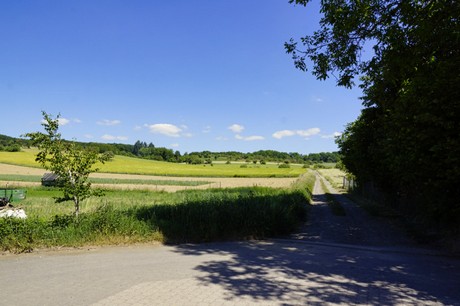 waldorf
