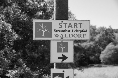 waldorf