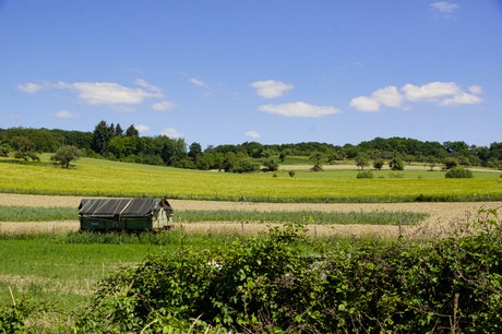 waldorf