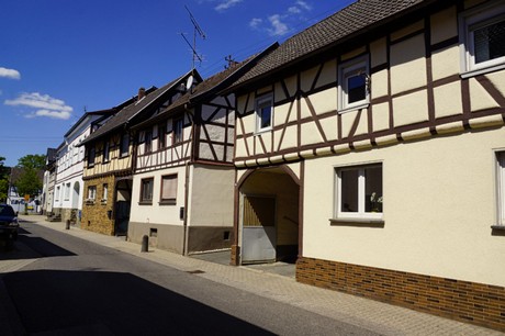 waldorf