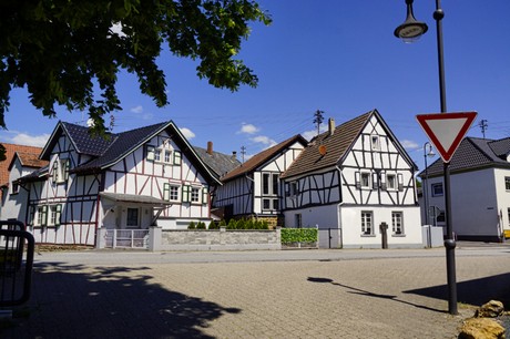 waldorf