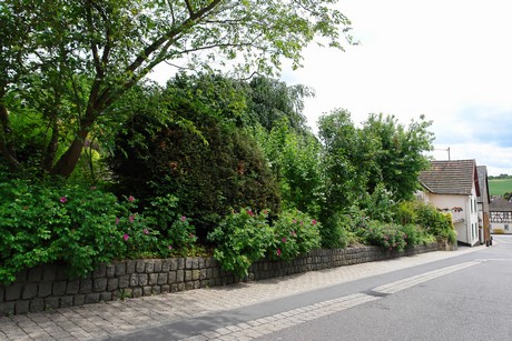 waldorf
