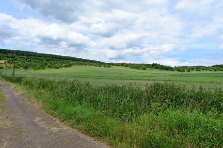 waldorf