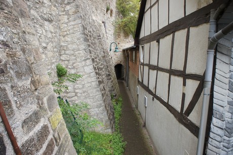 warburg