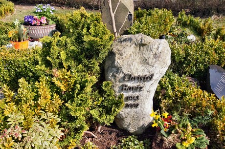 friedhof