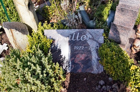friedhof