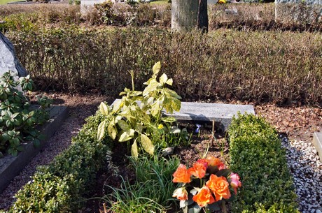 friedhof