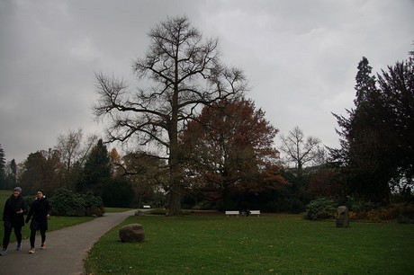 weinheim