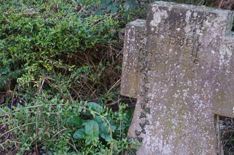 Weisweiler