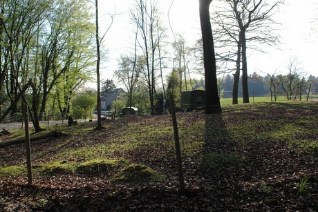buddemuehle