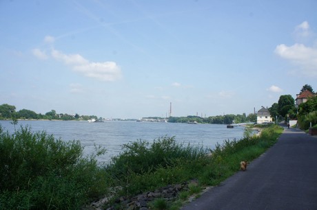 wesseling