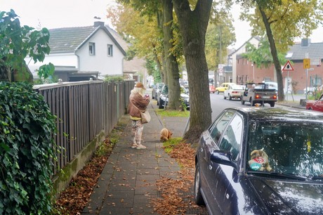 Wesseling